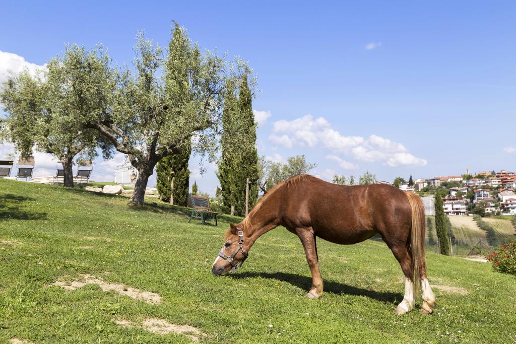 Agriturismo Le Bosche San Marino Eksteriør bilde